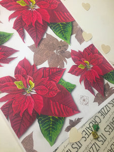 Poinsettia Christmas wrapping paper (A3, pack of 10 sheets)